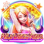 Wild Disco Night