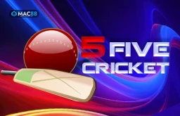 5 Five Cricket