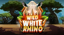 Wild White Rhino