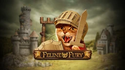 Feline Fury