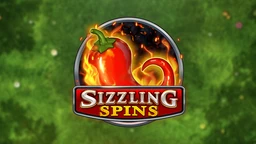 Sizzling Spins