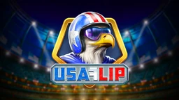 USA Flip