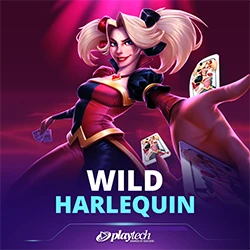 Wild Harlequin