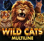 Wild Cats Multiline