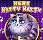 Here Kitty Kitty