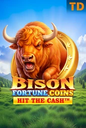 Bison Fortune Coins