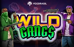 Wild Gangs