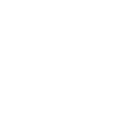 Ns